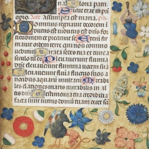 First Wednesdays with the Rare Book Department